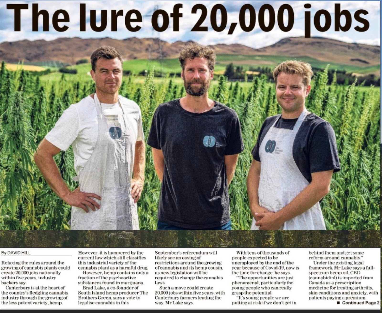 Article in North Canterbury News in the Smiths' Culverden hemp field.