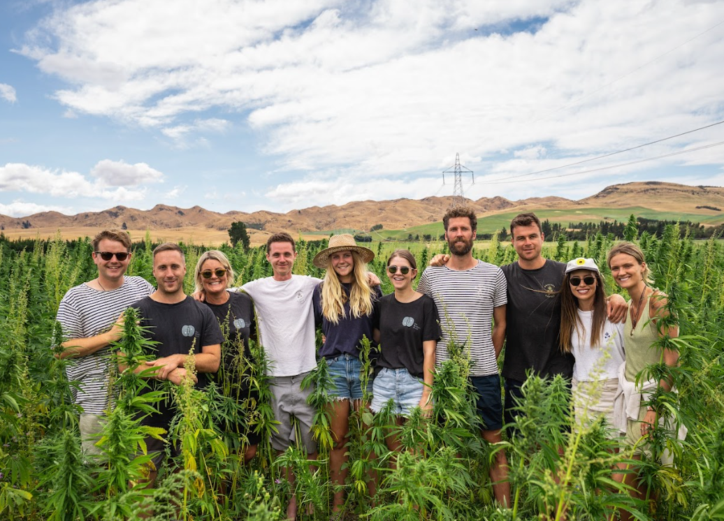 The team in Culverden hemp fields — January 2020.