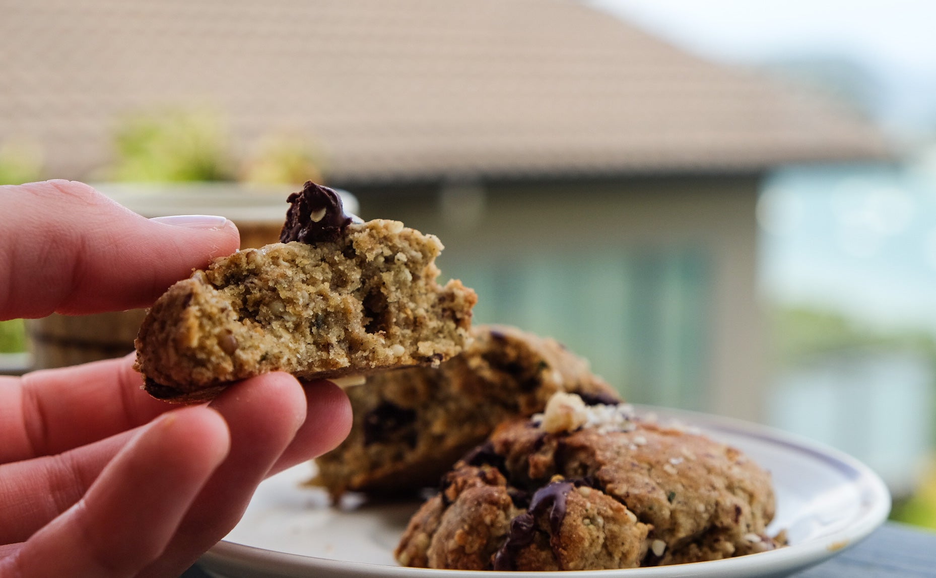 Choc Chip Hemp Protein Cookies