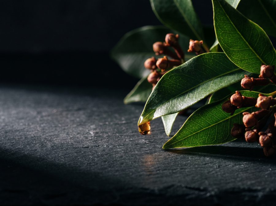 Clove leaves and buds with a single drop of amber oil