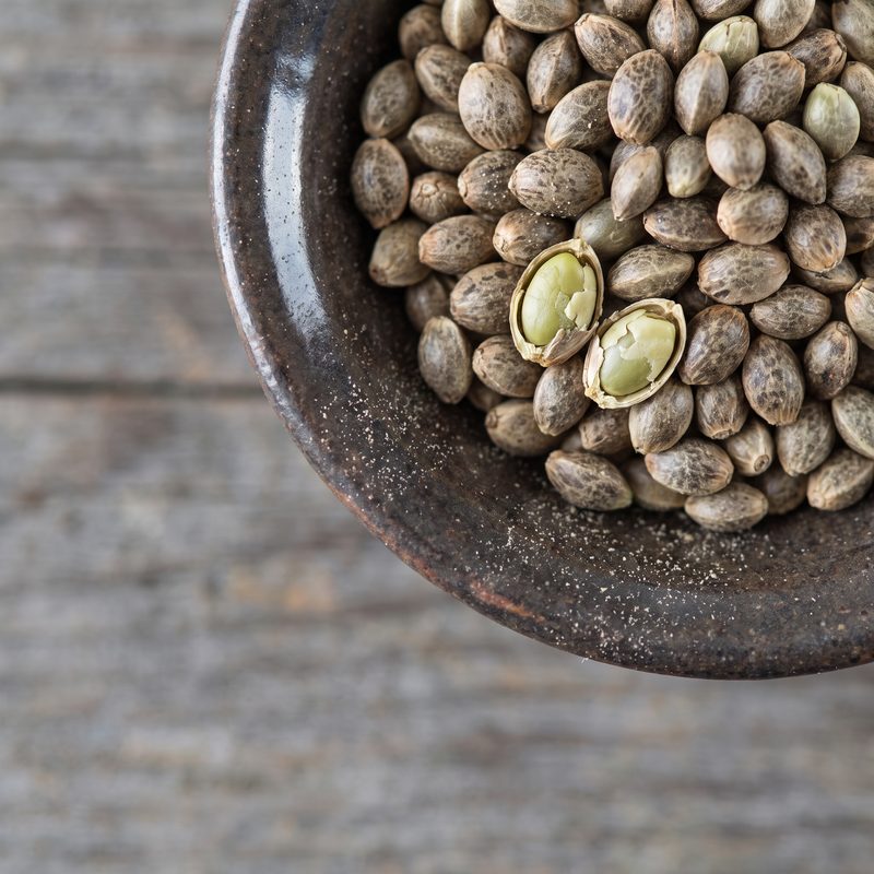 Hemp seeds in a stoneware dish, two split showing pale hearts