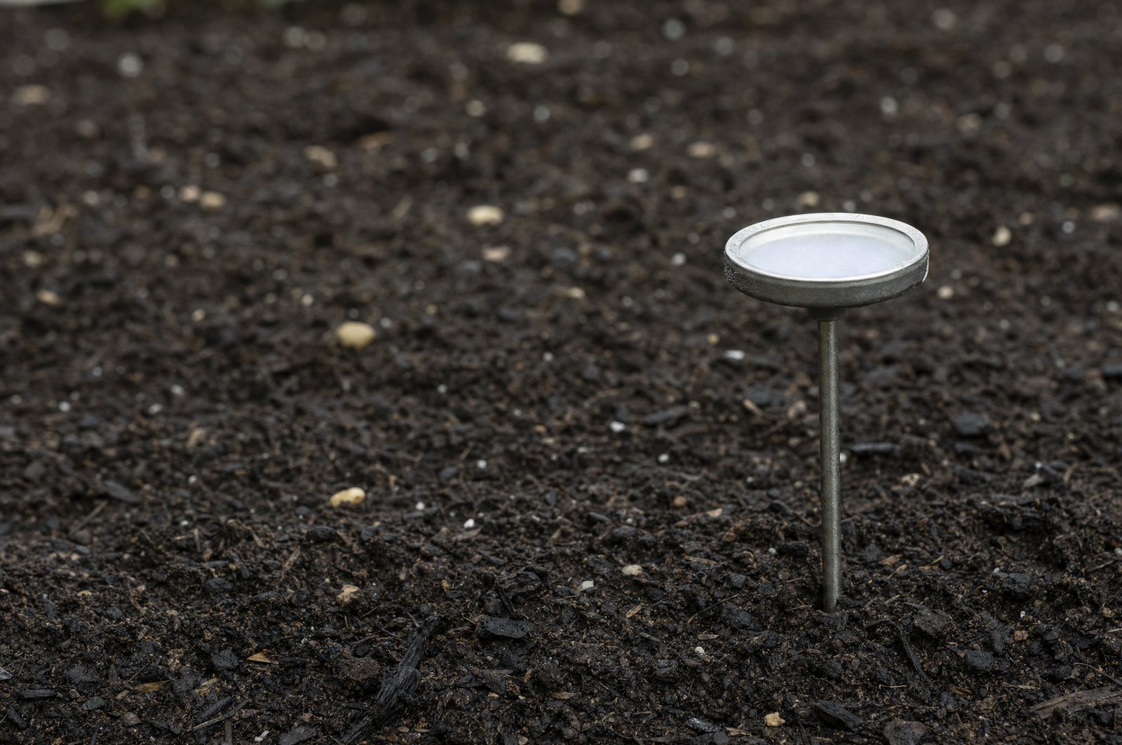 A soil thermometer pushed into freshly raked garden soil
